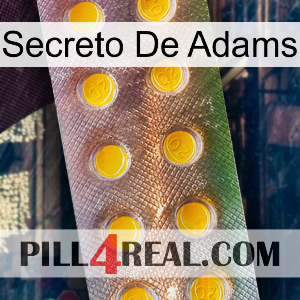 Adams Secret new11.jpg